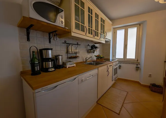 Alice With Balcony Rovinj